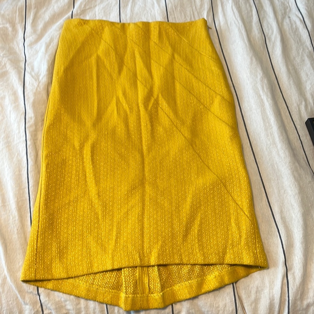 Anthropologie Eva Franco Skirt - Sz 2